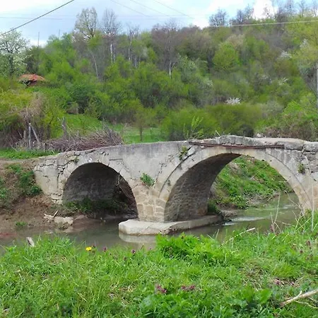 Lavender Holiday home Bebrovo